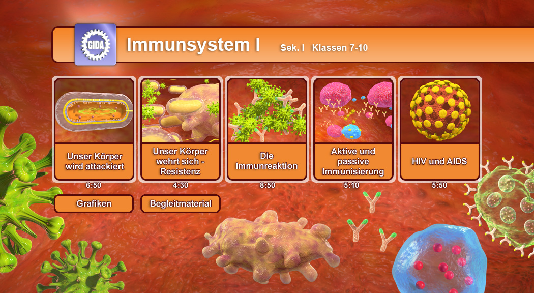 Infografik über das Immunsystem mit verschiedenen Themen wie Körperabwehr und Immunisierung.