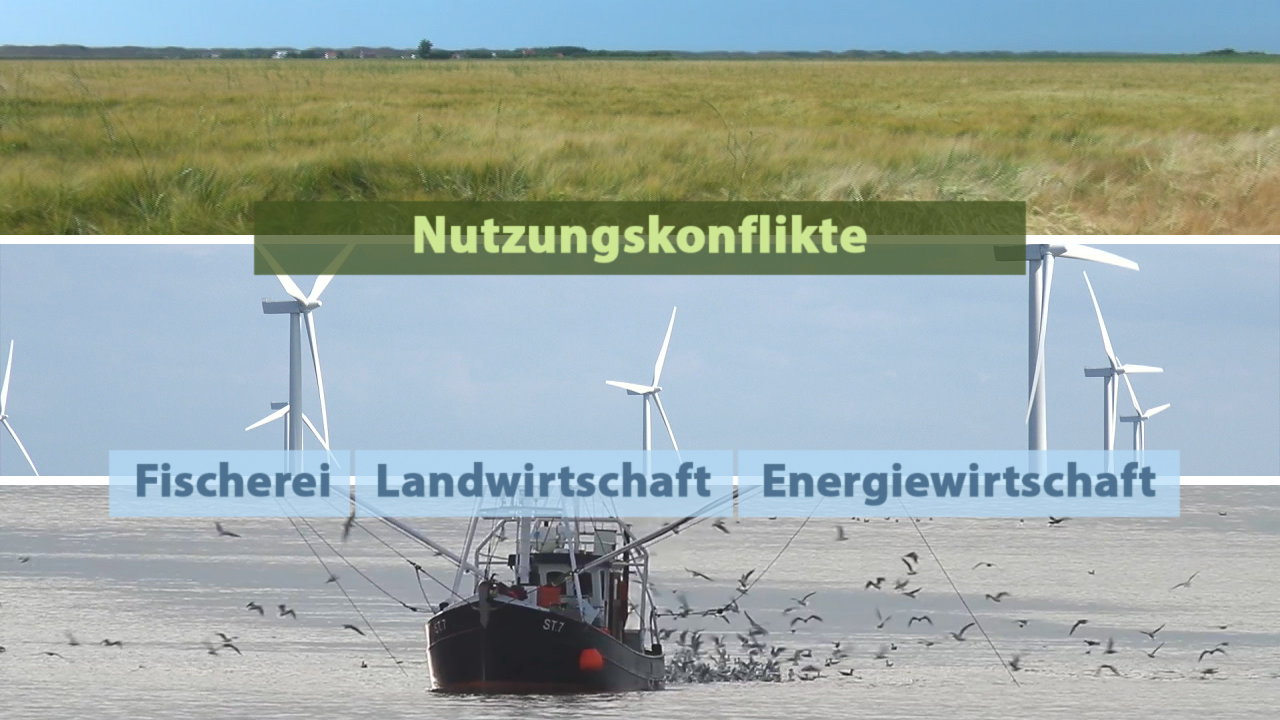 Infografik über Nutzungskonflikte zwischen Fischerei, Landwirtschaft und Energiewirtschaft, mit Bildern von Wiesen, Windkraftanlagen und einem Fischereiboot.