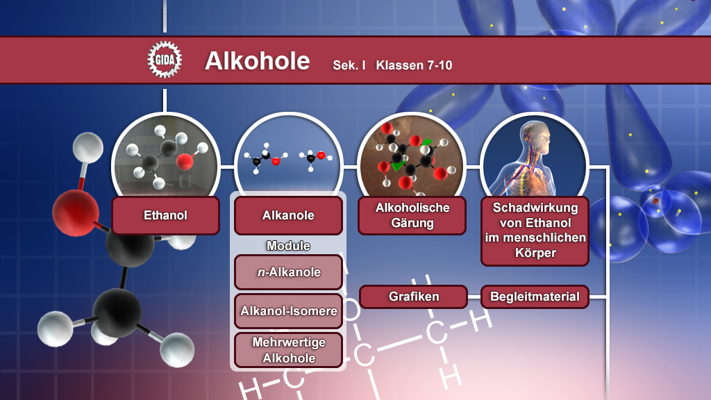 Infografik über Alkohole mit Themen wie Ethanol, Alkane, alkoholische Gärung und deren Auswirkungen auf den menschlichen Körper.