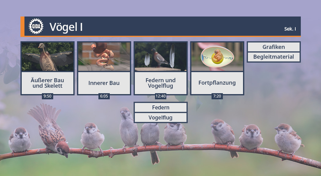Menü des Films "Vögel I".
