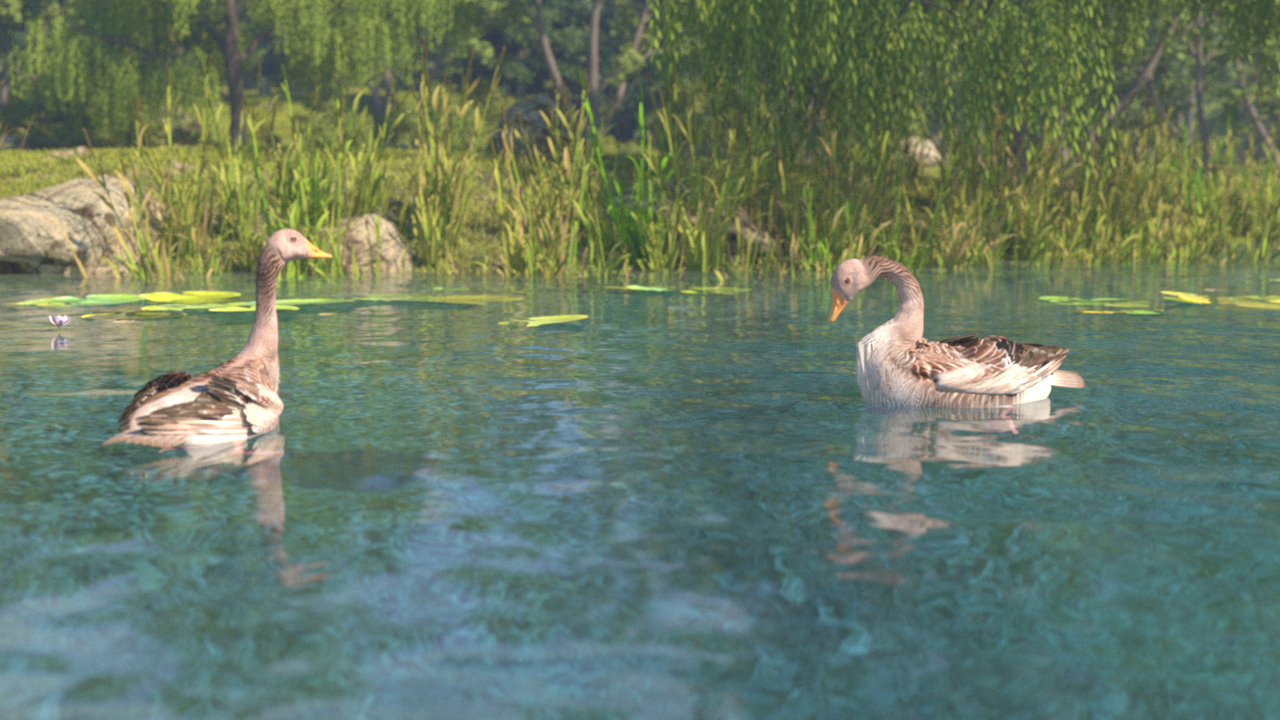 Zwei Gänse schwimmen auf einem ruhigen Gewässer mit grüner Ufervegetation im Hintergrund.