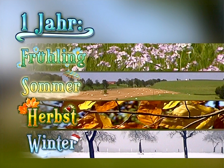 Eine grafische Darstellung der vier Jahreszeiten: Frühling, Sommer, Herbst und Winter, mit passenden Bildern und dekorativen Elementen.