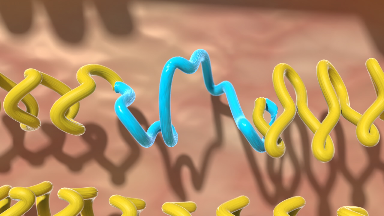3D-Darstellung von DNA-Strängen in Gelb und Blau, die sich winden und überlappen.