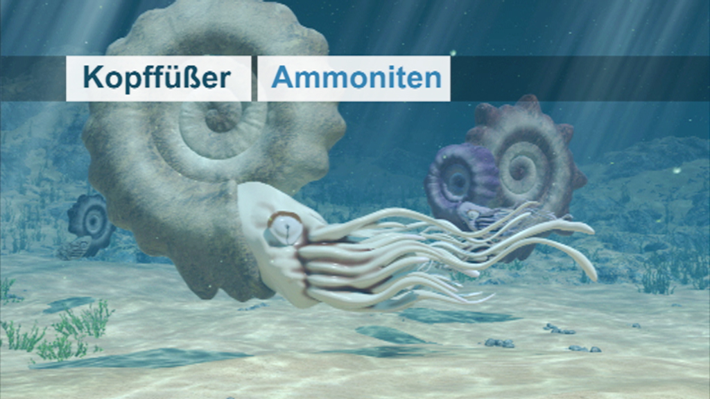 3D-Darstellung eines Nautilus und Ammoniten im Meer.