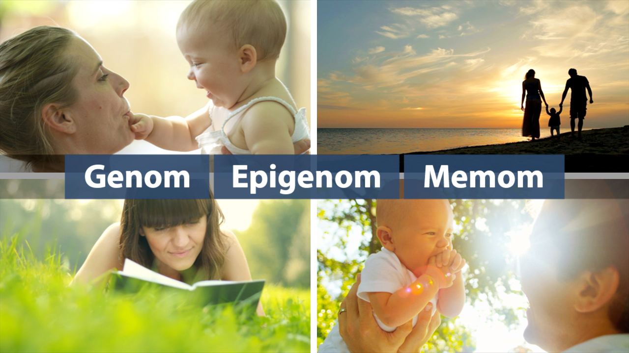 Vier Bilder, die verschiedene Aspekte der Genetik darstellen: oben links eine Mutter mit Baby, oben rechts eine Familie am Strand, unten links eine Frau, die ein Buch liest, unten rechts ein Baby, das mit einem Erwachsenen spielt.