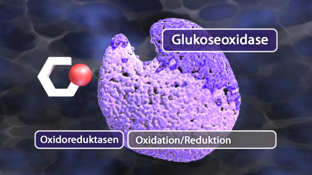 Diagramm einer Glukoseoxidase mit Beschriftungen zu Oxidoreduktasen und Oxidation/Reduktion.