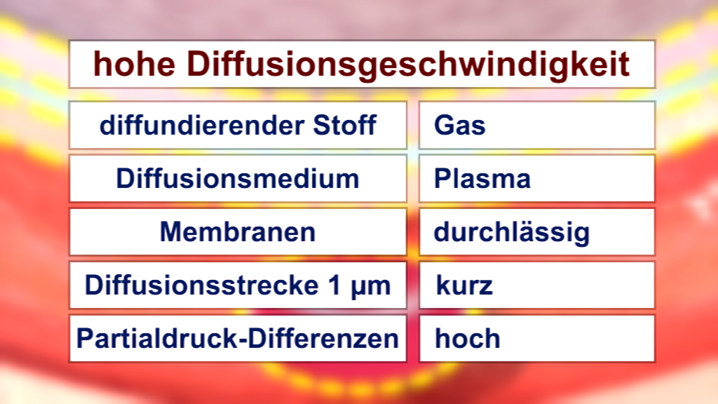 Tabelle mit Informationen zur hohen Diffusionsgeschwindigkeit, einschließlich Stoffarten und Eigenschaften.
