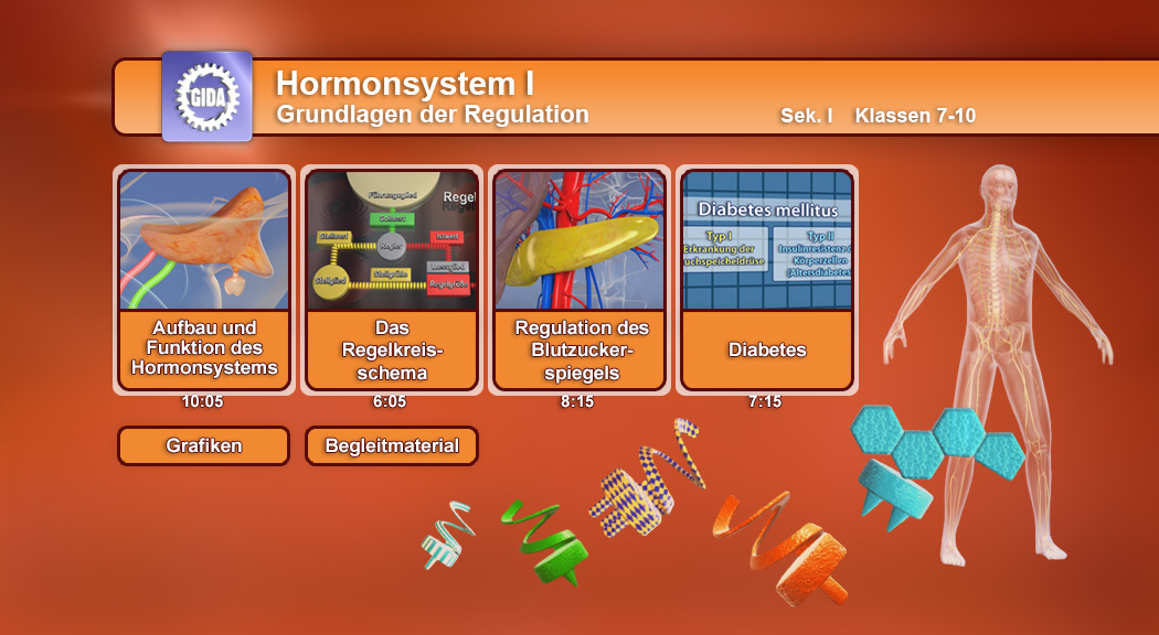 Infografik über das Hormonsystem mit Themen wie Aufbau, Regelkreisschema, Blutzuckerspiegel und Diabetes.