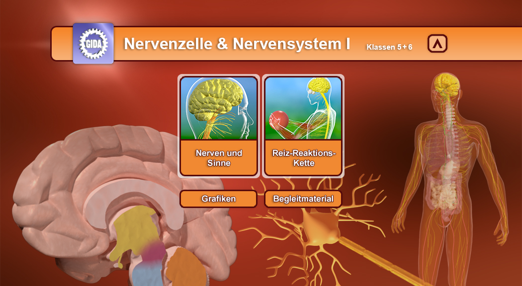 Menü des Films mit den Themen: Nerven und Sinne, Reiz-Reaktions-Kette.