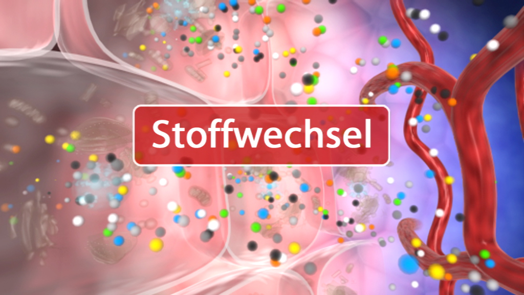 Grafik, die den Stoffwechselprozess in Zellen darstellt, mit bunten Molekülen und Blutgefäßen.