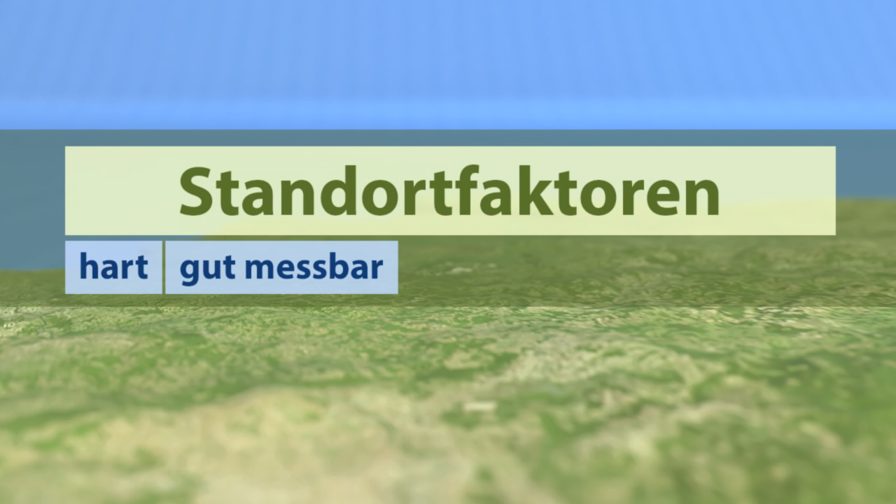 Grafik über Standortfaktoren mit den Begriffen 'hart' und 'gut messbar' in verschiedenen Schriftgrößen.