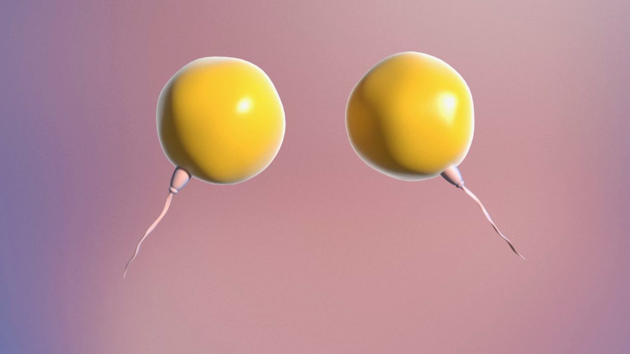 Zwei gelbe Eizellen mit langen Schwänzen, die Spermien darstellen.