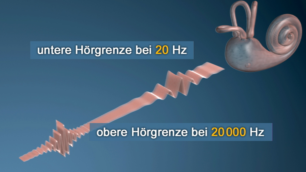 Grafik zeigt die Hörgrenzen des menschlichen Ohrs mit einer Darstellung des Innenohrs.