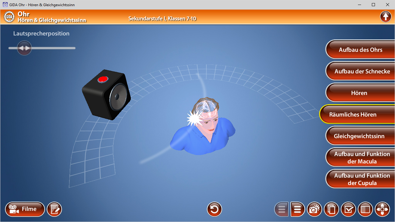 Interaktive Darstellung des menschlichen Ohrs mit Lautsprecher und Benutzer, der räumliches Hören lernt.