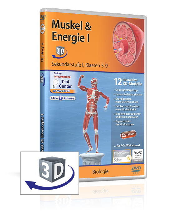 DVD-Cover für 'Muskel & Energie I', zeigt 3D-Modelle und einen menschlichen Körper mit Muskeln.