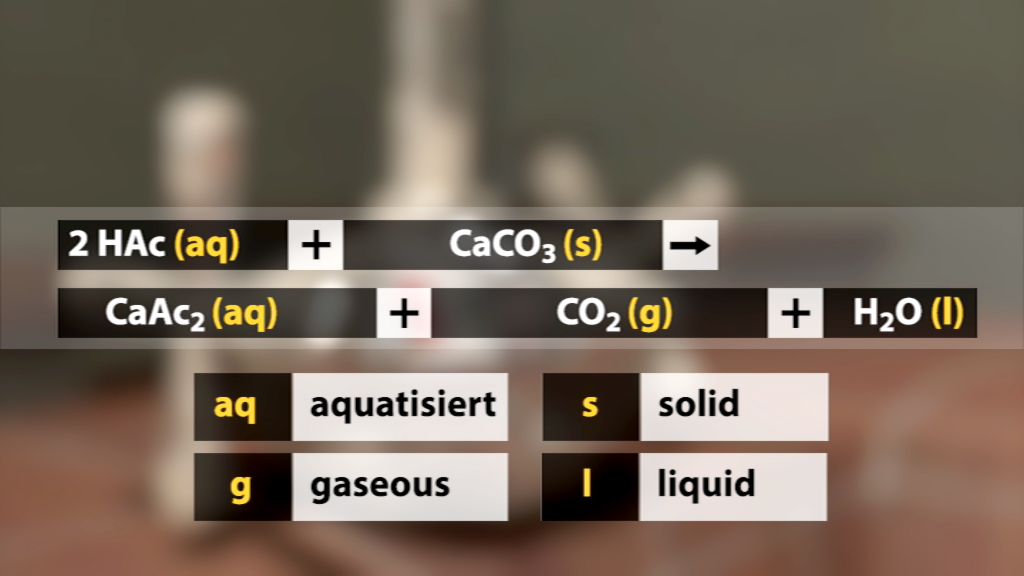 Chemische Reaktionsgleichung: 2 HAc (aq) + CaCO3 (s) → CaAc2 (aq) + CO2 (g) + H2O (l) mit Erklärungen zu den Aggregatzuständen.