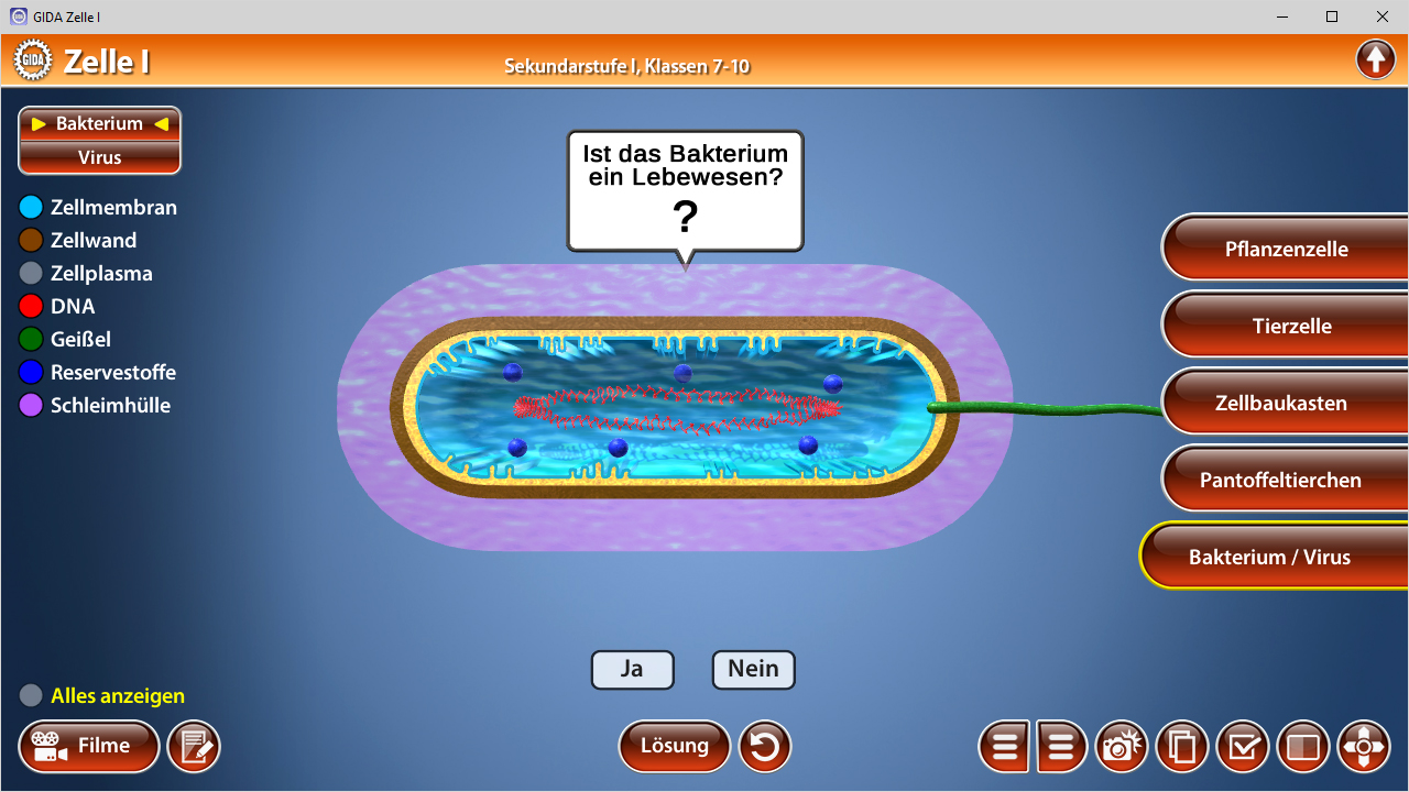 Interaktive Darstellung einer Zelle mit Bakterium und Virus, zeigt Zellstruktur und Fragen zur Klassifizierung.