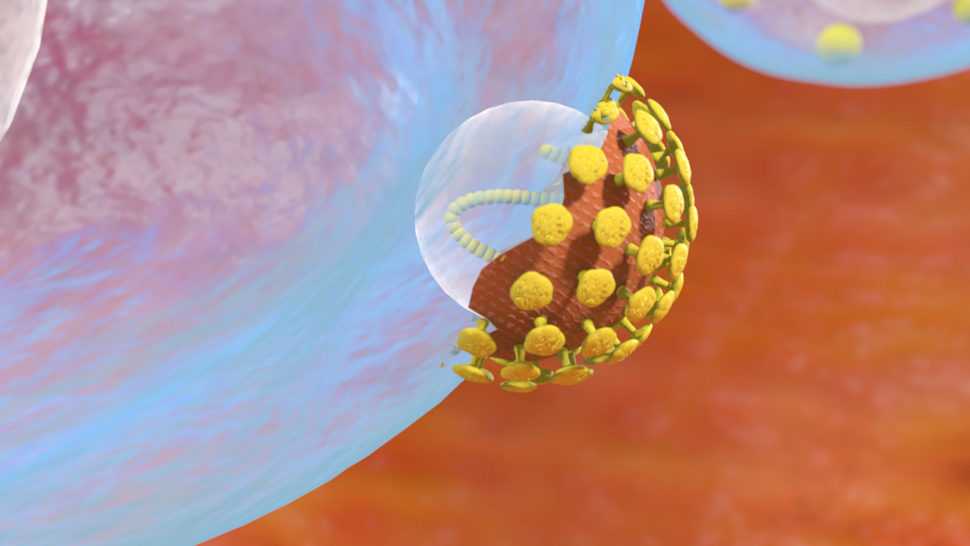 Animation einer Zelle mit einer gelben und braunen Struktur, die eine Art von Virus darstellt.