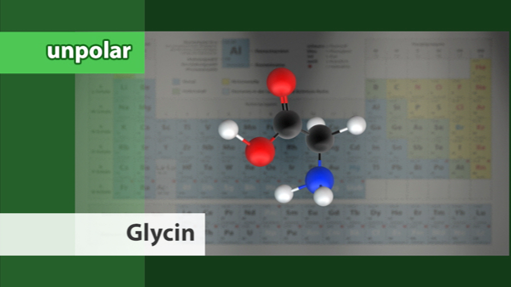 3D-Darstellung von Glycin-Molekül mit farblich gekennzeichneten Atomen auf einem Periodensystem-Hintergrund.