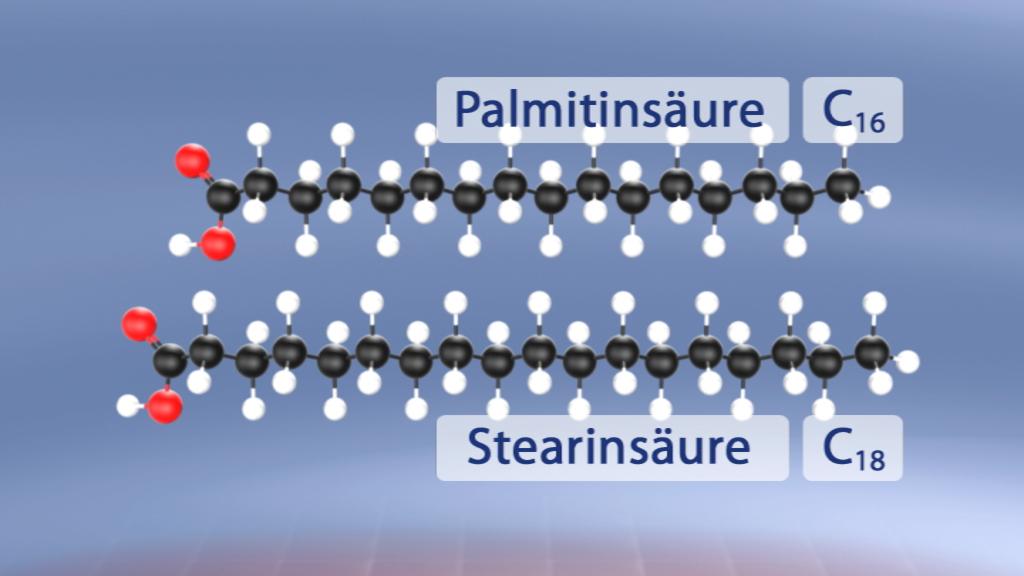 Molekülstrukturen von Palmitinsäure (C16) und Stearinsäure (C18) mit chemischen Formeln und Atomen dargestellt.