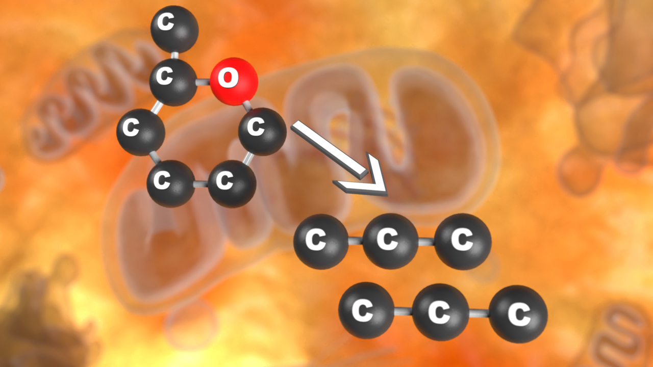 Diagramm, das den Prozess der Kohlenstoffbindung zeigt, mit schwarzen Kohlenstoffatomen und einem roten Sauerstoffatom.