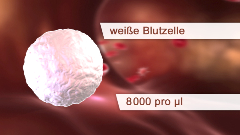 Grafik einer weißen Blutkörperchen mit der Beschriftung '8000 pro µl'