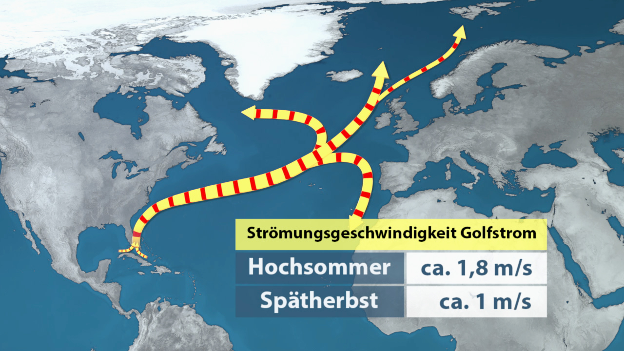 Karte des Golfstroms mit Strömungsgeschwindigkeiten: Hochsommer ca. 1,8 m/s, Spätherbst ca. 1 m/s.