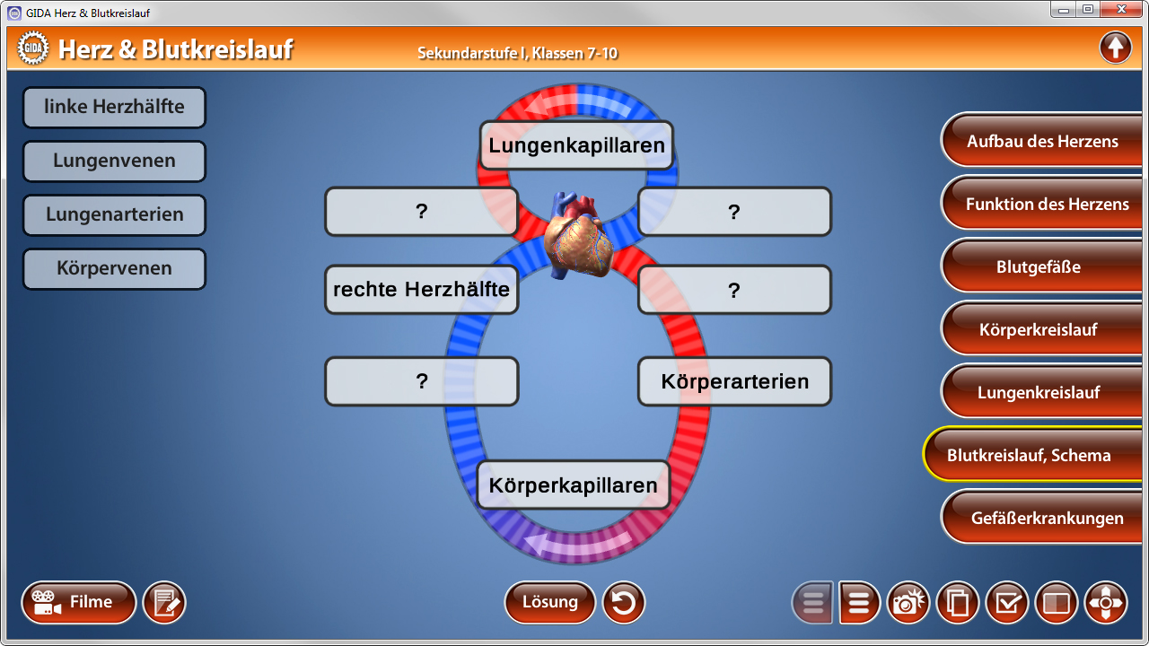 Interaktive Lernanwendung über das Herz und den Blutkreislauf mit verschiedenen Komponenten und Fragen.