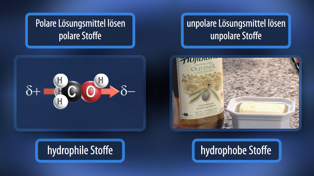 Diagramm, das zeigt, dass polare Lösungsmittel polare Stoffe lösen und unpolare Lösungsmittel unpolare Stoffe lösen, mit Beispielen für hydrophile und hydrophobe Stoffe.