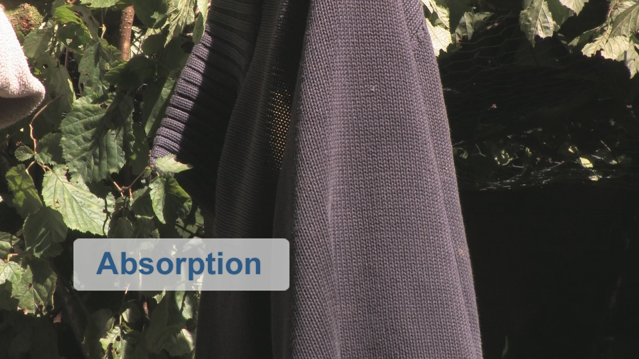 Ein dunkler Pullover hängt an einer grünen Wand mit Blättern, beschriftet mit 'Absorption'.