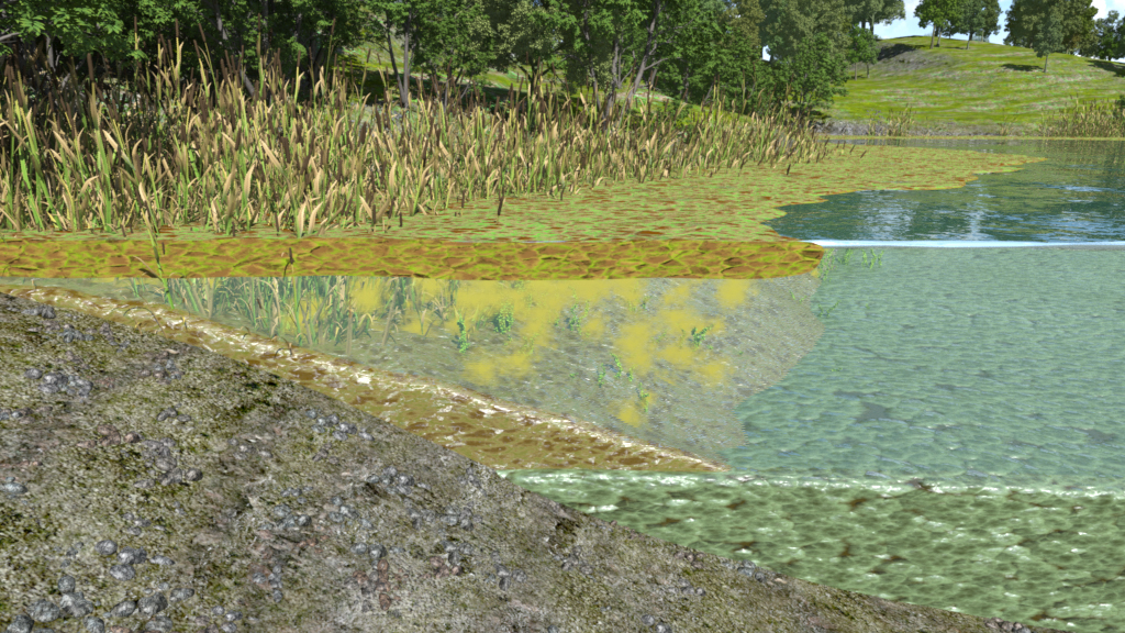 Ein Gewässer mit klarem Wasser, umgeben von Schilf und Bäumen, zeigt eine natürliche Landschaft.