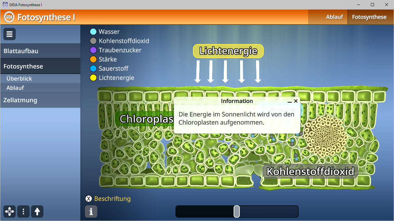 Diagramm der Fotosynthese mit Chloroplasten, Wasser, Kohlenstoffdioxid und Lichtenenergie.