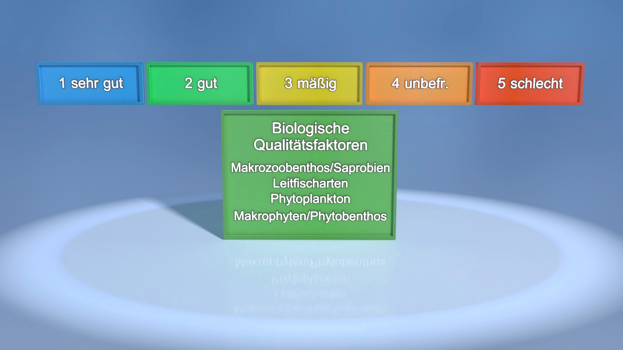 Infografik zur biologischen Qualitätsbewertung mit fünf Bewertungsstufen. Grüne Box mit den Begriffen: Makrozoobenthos, Saprobien, Leitfischarten, Phytoplankton, Makrophyten, Phytobenthos.