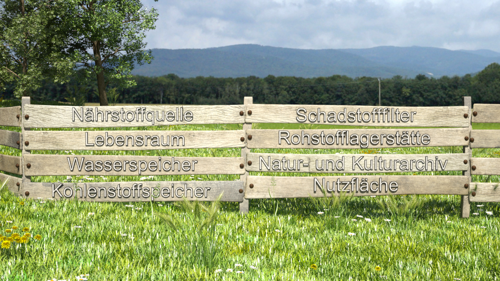 Holzzaun mit beschrifteten Platten, die verschiedene ökologische Begriffe wie 'Nährstoffquelle' und 'Lebensraum' zeigen.