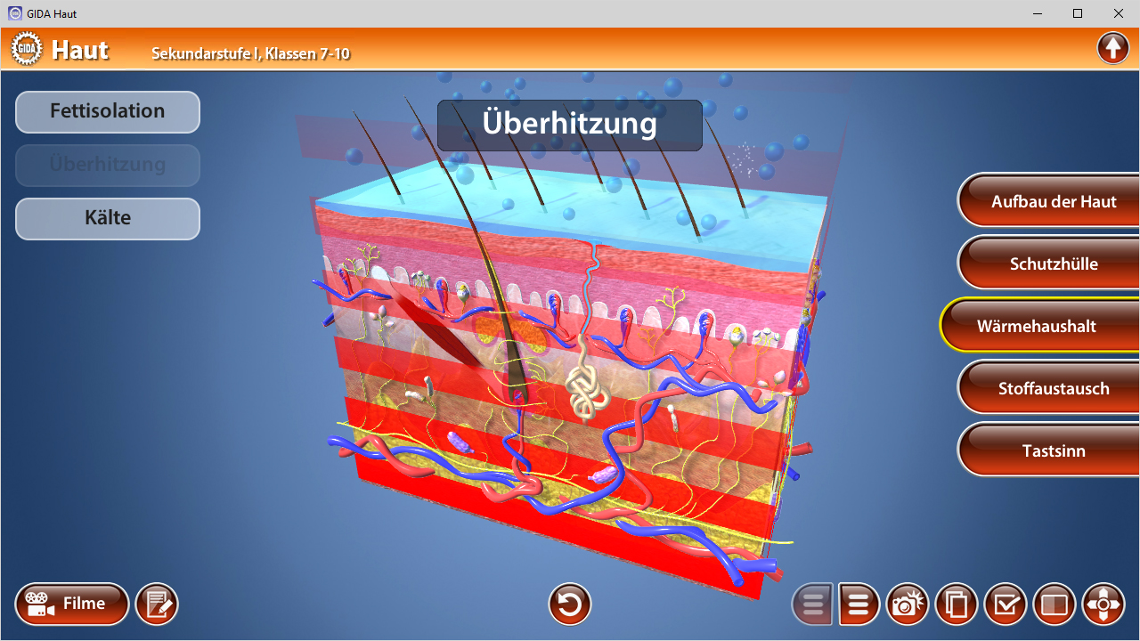 3D-Diagramm der Hautschichten mit Beschriftungen zu Überhitzung, Wärmeaustausch und anderen Funktionen.