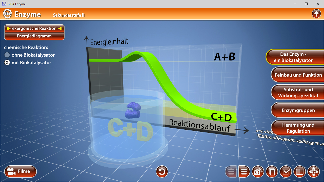 3D-Diagramm eines enzymatischen Reaktionsprozesses mit Energieinhalt und Reaktionsablauf.