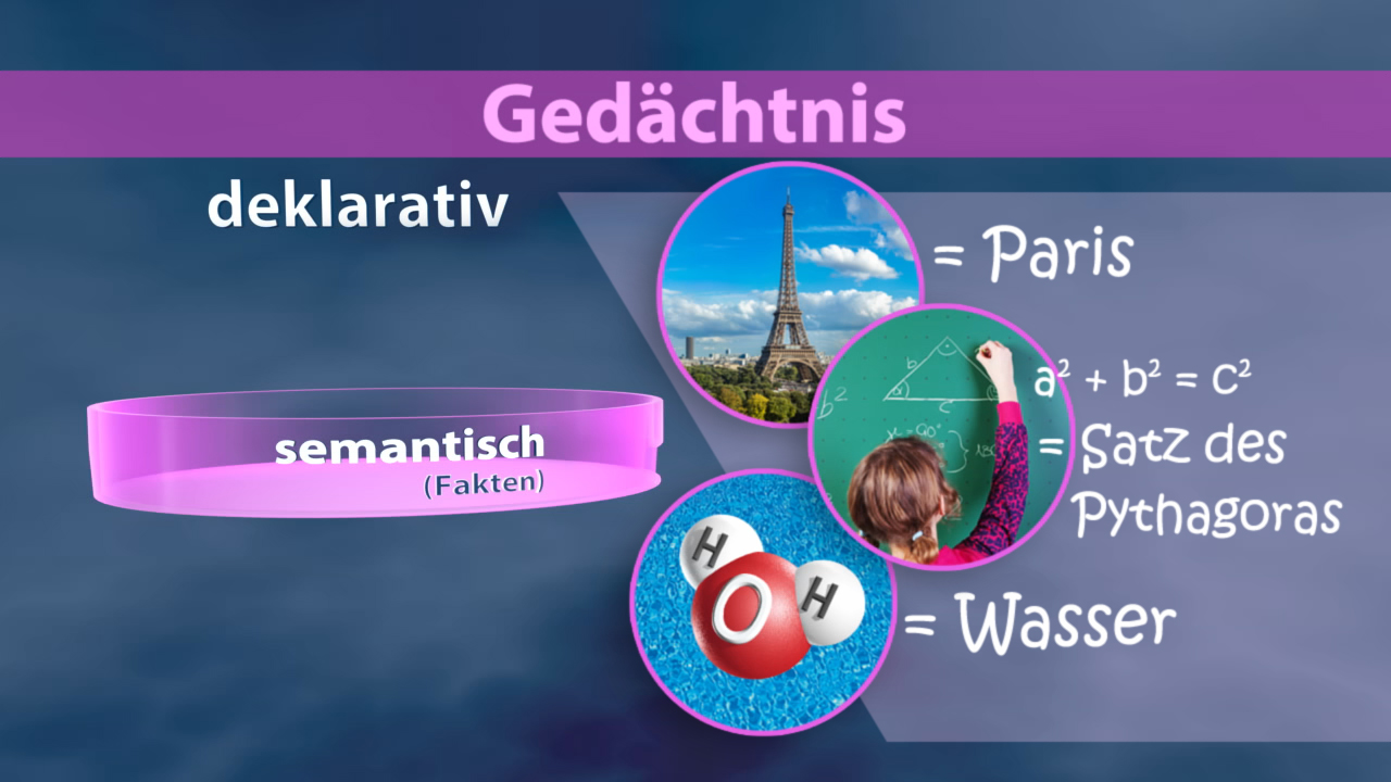 Infografik über Gedächtnisarten mit Beispielen: Paris, Satz des Pythagoras, Wasser.