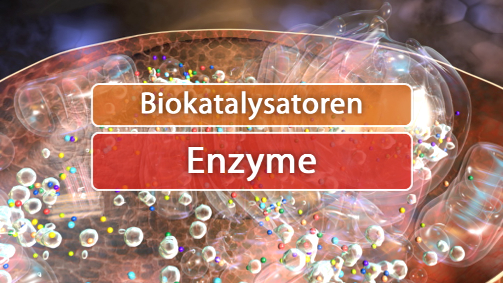 Infografik über Biokatalysatoren und Enzyme, mit bunten Molekülen im Hintergrund.