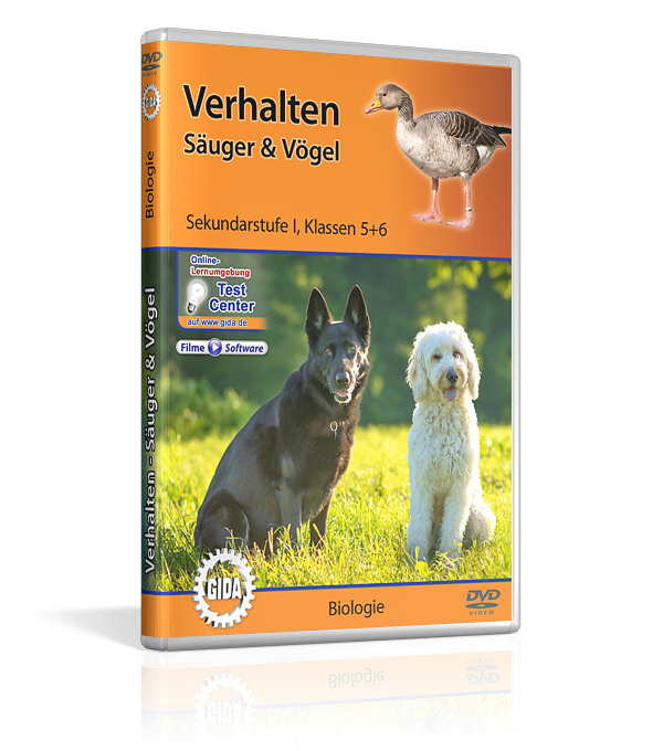 DVD-Cover mit dem Titel 'Verhalten Säugetiere & Vögel' für Sekundarstufe 1. Es zeigt Hunde im Freien und ein Gans.