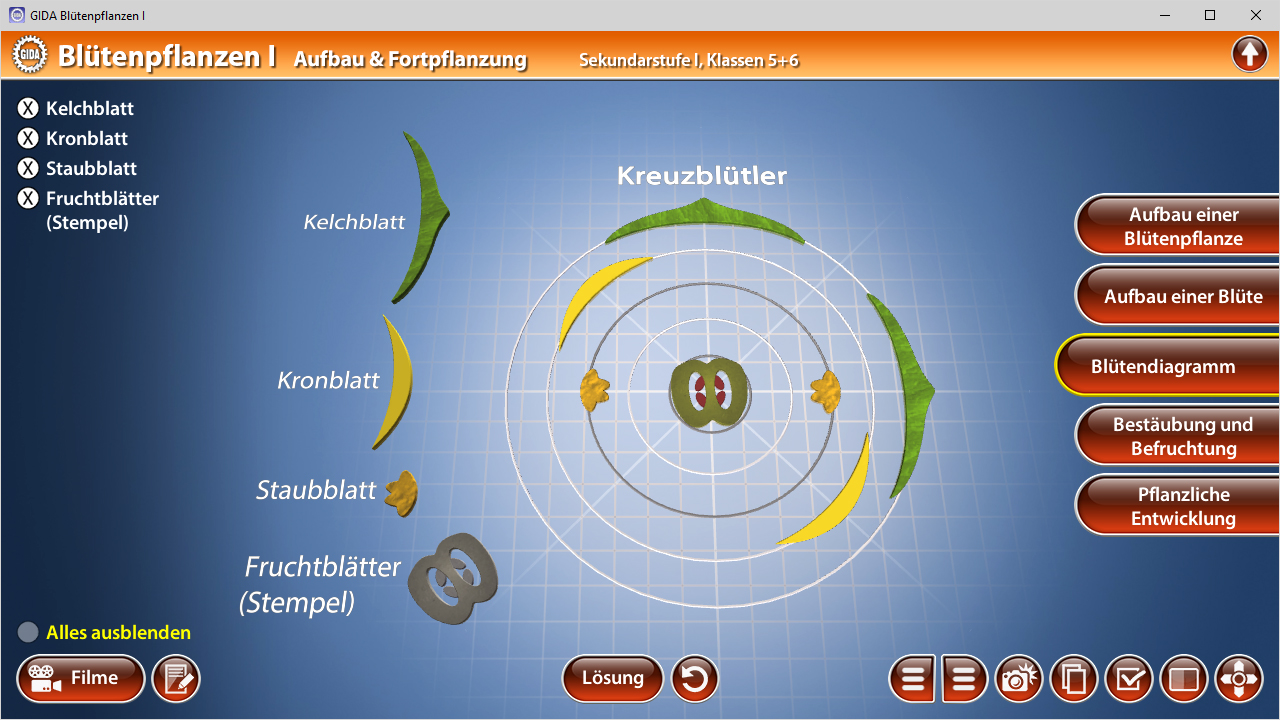 Interaktive Darstellung von Blütenpflanzen mit verschiedenen Blütenteilen wie Kelchblätter, Kronblätter und Staubblätter.