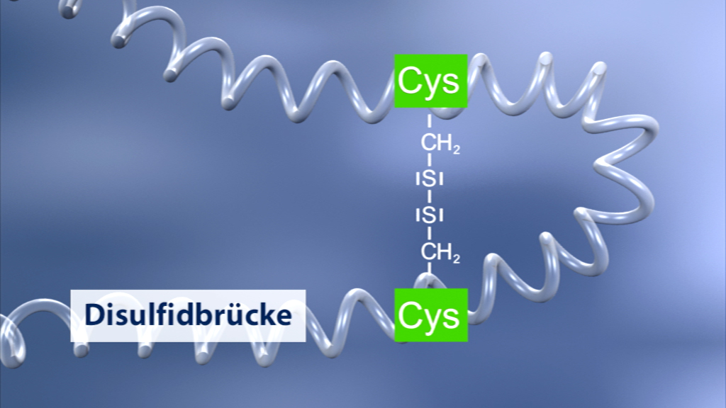 Diagramm einer Disulfidbrücke zwischen zwei Cystein-Resten, dargestellt durch chemische Strukturformeln.