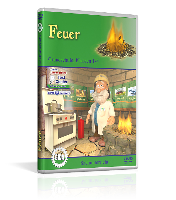 DVD-Cover des Films "Feuer".
