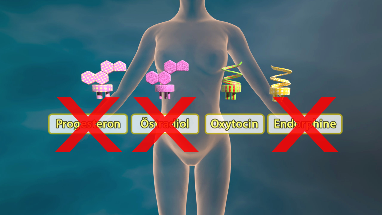 Grafik zeigt eine menschliche Figur mit Symbolen für Hormone: Progesteron, Östrogen, Oxytocin und Endorphine, die durch rote X gekennzeichnet sind.