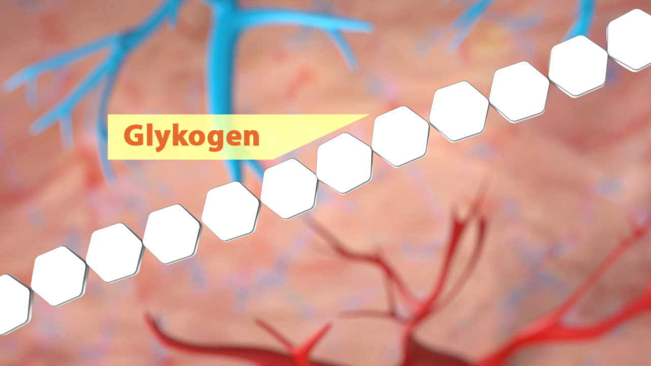 Grafik, die die Struktur von Glykogen in einem biologischen Kontext zeigt, mit blauen und roten Blutgefäßen im Hintergrund.
