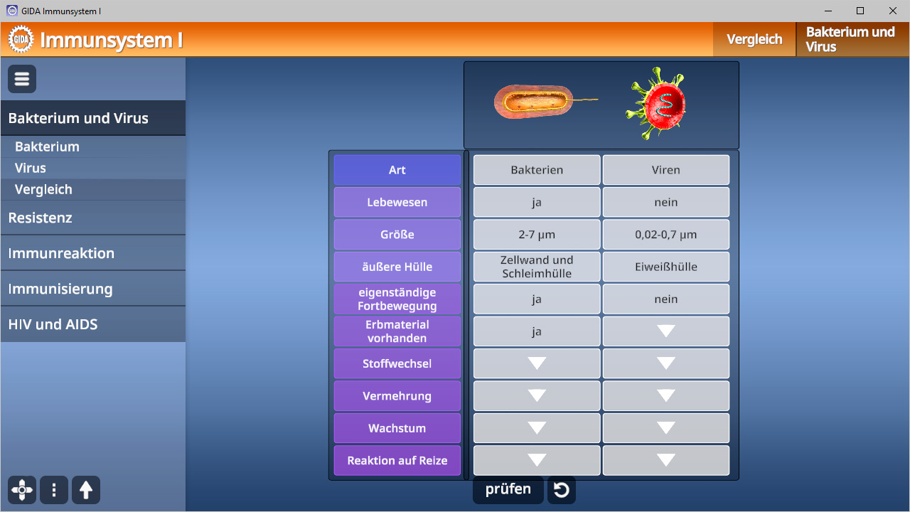 Tabelle vergleicht Bakterien und Viren hinsichtlich Art, Lebensraum, Größe, äußere Hülle, Fortpflanzung, Stoffwechsel, Vermehrung und Wachstum.