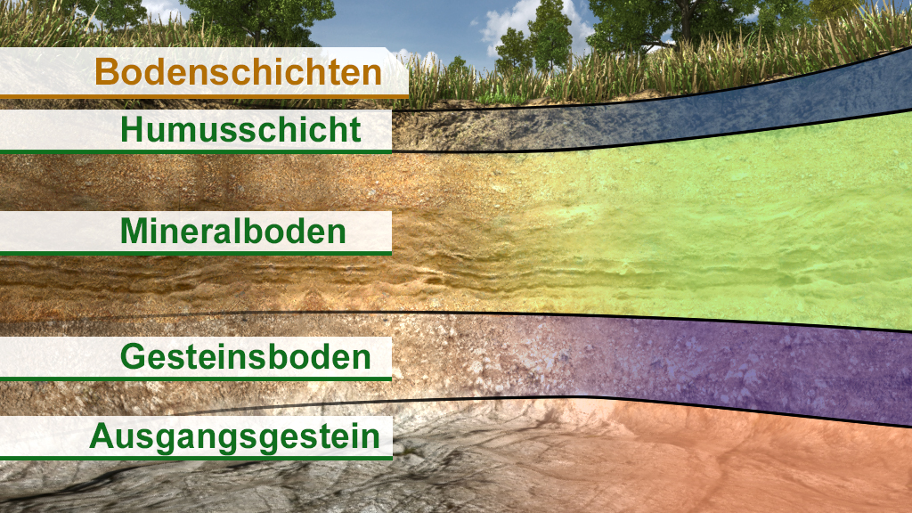 Grafik zeigt verschiedene Bodenschichten: Humusschicht, Mineralboden, Gesteinsboden und Ausgangsgestein.
