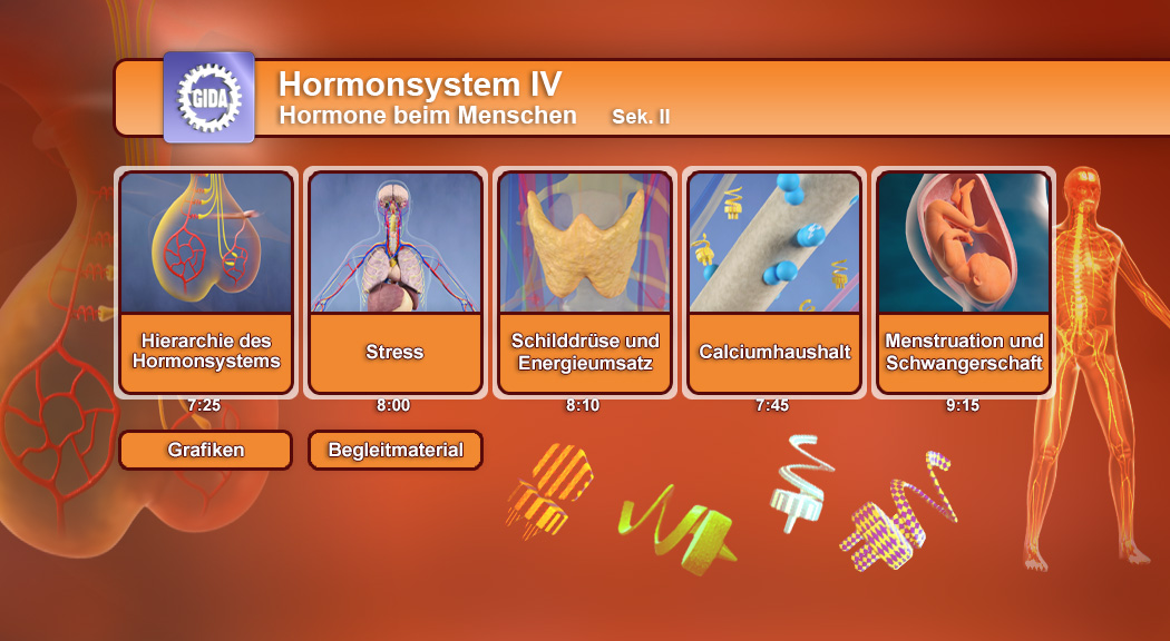 Infografik über das Hormonsystem beim Menschen mit Themen wie Stress, Schilddrüse und Calciumhaushalt.