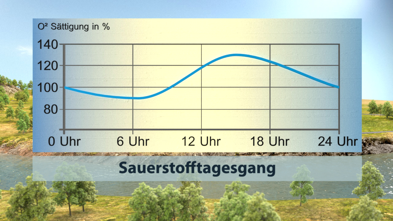Grafik zeigt den Verlauf der Sauerstoffsättigung über 24 Stunden, mit einem Maximum um 15 Uhr und Minimum um 6 Uhr.