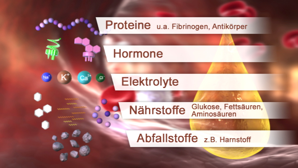 Grafik, die verschiedene Bestandteile des Blutes zeigt: Proteine, Hormone, Elektrolyte, Nährstoffe und Abfallstoffe.