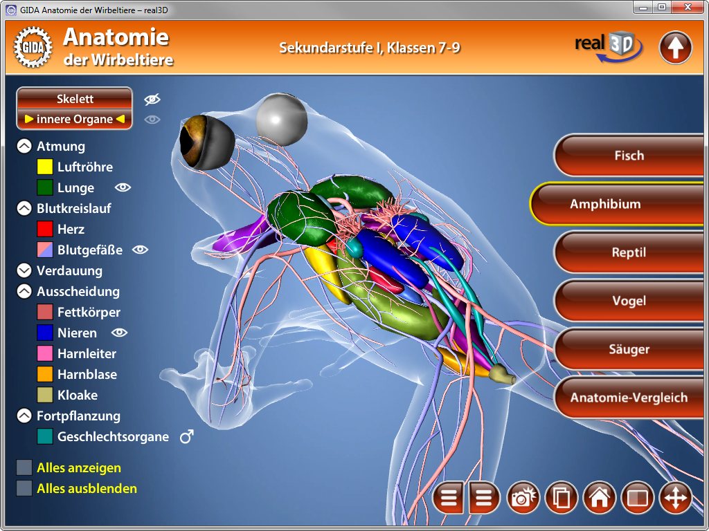 Interaktive 3D-Anatomieansicht eines Wirbeltieres mit hervorgehobenen Organen und Systemen.